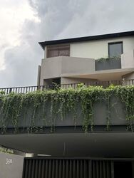 Capitol Park (D11), Semi-Detached #531714681